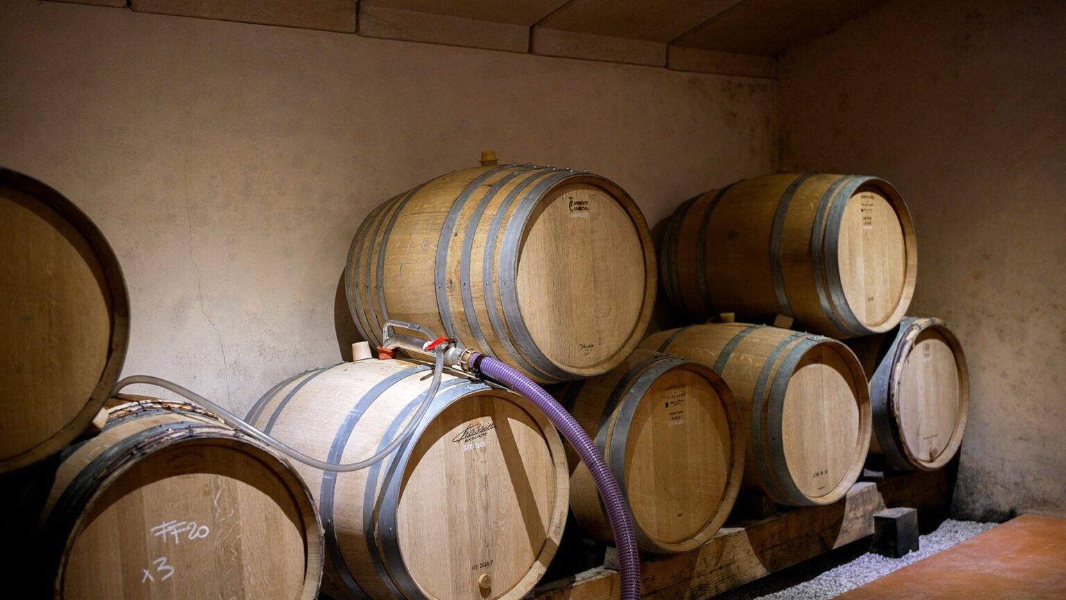 Le domaine Manciat en images, photo 21 sur 24